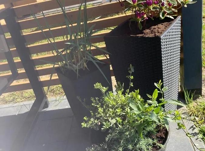 Kalimera * ريفال